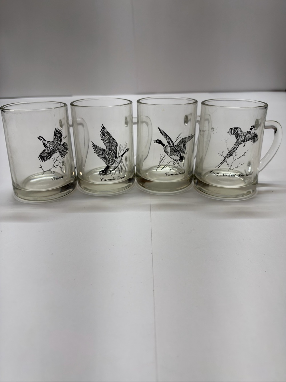 Set of 4 Clear Glass Mugs with Birds Illustrations
